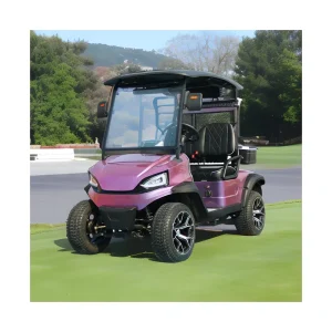 Electric Golf Cart Car Custom Comfortable 2 4 6 Seats Luxury Electric Golf Carts for Sale