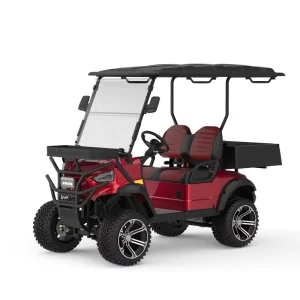 Electric Golf Cart L2 2 Seats 2 Passengers Golf Buggy with Tank