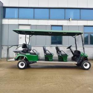 Electric Golf Cart Lithium Golf Course Cart for Adult
