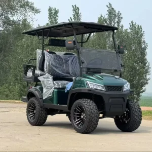 Electric Golf Cart Off Road Club Mini Icon Luxury Lithium Battery 48v 72v 4 Seater Beach Buggy