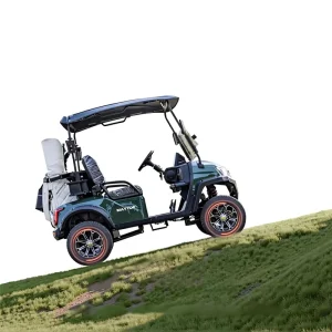 Electric Golf Cart Off Road Golf Buggy 4000W Green Black 1 Year Warranty for Sale