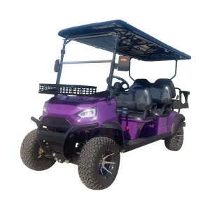 Electric Golf Cart Powered by Lithium Batteries Suitable for Golf Courses Resorts Hotels and Community Transport