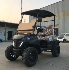 Electric Golf Cart Price Chinese Golf Carts Golf Trolleys