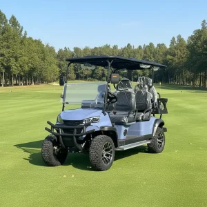 Electric Golf Cart Six Seats Lithium Battery Street Legal Certified for Sightseeing and Golf Course