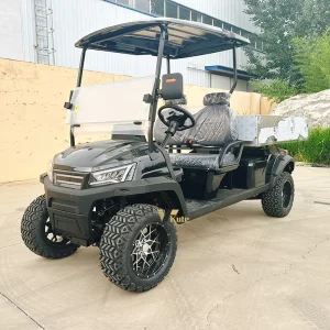 Electric Golf Cart Vehicle Road Club Sightseeing Car