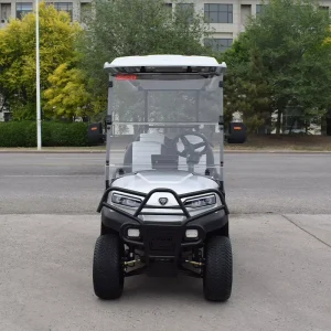 Electric Golf Cart with 2 Seats Equipped with Off road Tires and 48V AC System