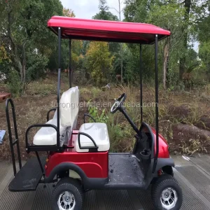 Electric Golf Cart with Many Color for Choice and Factory Prices
