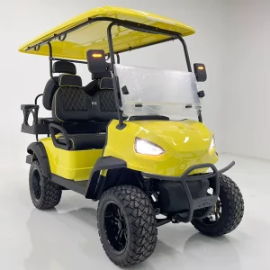 Electric Golf Cart with Quick Acceleration Comfort Seats 48V Battery Voltage