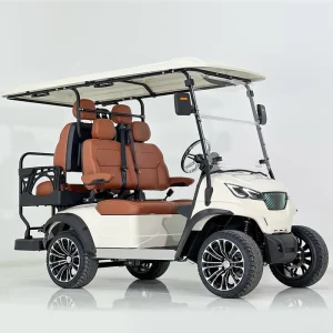 Electric Golf Cart with Strong Frame and Lightweight Seat