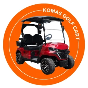 Electric Golf Carts 2 Seater Golf Buggy for Resort Hotel Golf Club Custom Long Cargo Color Logo