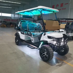 Electric Golf Carts Electric Handcarts and Golf Carts Compatible with Club Cars