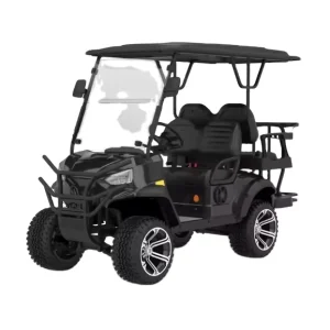 Electric Golf Carts Electric for 2&4 Seaters for Outdoor with Factory Direct Supply New Design Battery Type AC Motor