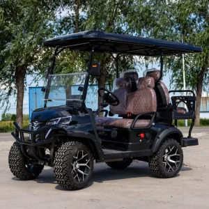Electric Golf Carts Factory Direct Supply High Powered 4 Seater 6 Seater Electric Golf Carts