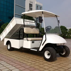 Electric Golf Carts Factory Sale Directly Cargo Cart for Club Sightseeing Bus