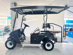 Electric Golf Carts New model Chinese Mini Street Legal Golf Cars 4 Seat