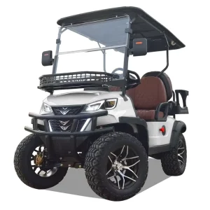 Electric Golf Carts Prices Classic Golf Car Luxury Motorized Golf Cart