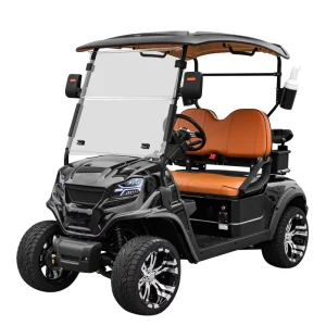 Electric Golf Kart 2 Seater Mini Golf Trolley Battery Vehicle Electric Golf Cart for Sale