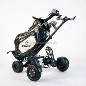 Electric Golf Scooter Golf Trolley Golf Cart 1600W Rear Drive 48V Cruise Control Quick Fold Original Factory Supplier