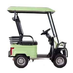Electric Mini Golf Cart Buggy 3-4 Seater 60V Brushless Motor Disc Brakes 50-70km Range CE Certified