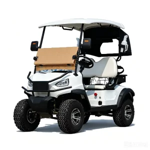 Electric Mini Golf Cart for Grass Field Use 1-2 Seats 70-90km Range
