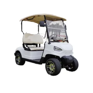 Electric Mini Vehicle Center Power Golf Cart with Battery