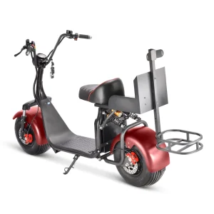 Electric Scooter Citycoco 2 Wheels Seat Golf Trolley 3000W GPS Foldable Waterproof Long Range