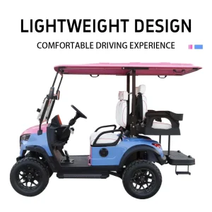 Electric Seater Golf Cart 4 Wheel 3 4 Seats 30 50Km/h Speed 30 50km Range 48V Lithium Battery 25% Climbing