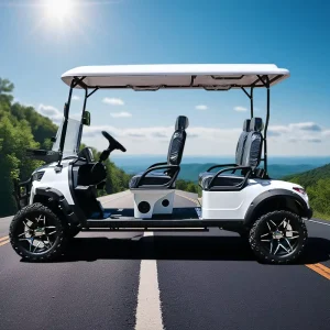Electric Sightseeing Golf Cart 4 Seater with Folded Seat