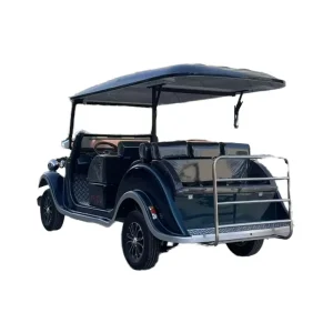 Electric Sightseeing Golf Carts for City Tours Resort Shuttles Leisure Activities on Golf Courses