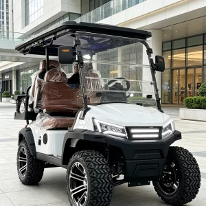 Enclosure Full Set 4 Seat Electric Golf Cart with Enclosure Full Set