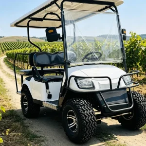Ex Factory Price 4 Seat Electric Golf Cart for Factory Direct Deal