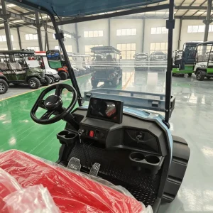 Export Type LHD 6 Seater Electric Lithium Battery Golf Cart with 30-50Km/h Speed & 90km Range for Campus Use