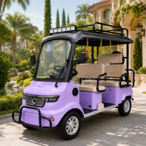 Factory 4 Seat Electric Golf Buggy Customizable Color Size Lead Acid Battery for Bulk OEM Private Label Orders
