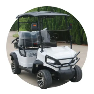 Factory 4 Wheels 2 Passengers 48v 5000w Mini Golf Cart Electric Scooter