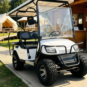 Factory Audit Welcome 4 Seat Electric Golf Cart for Buyer Visit