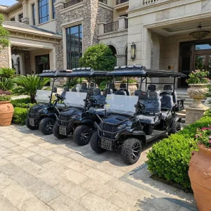 Factory CE New Export Electric Golf Cart 5 6 Seater 72V Off road Sightseeing Car for Golf Course Club