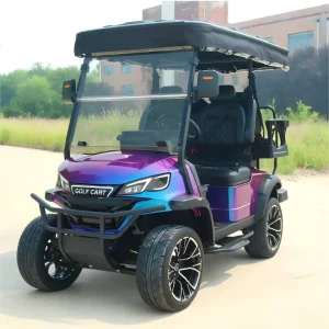 Factory Custom Color 4 Seater Electric Golf Cart 48V Lithium DOT Approved US Market with Extra Rear Cargo Box Storage