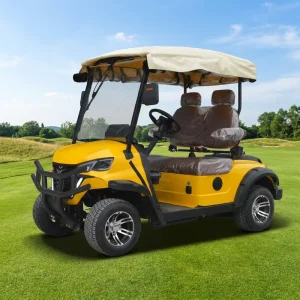 Factory Custom Golf Cart Two Seat Yellow Electric Lithium Battery 30 50Km h Multifunctional for Leisure