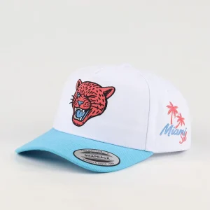 Factory Custom Made 5 Panel Unisex Embroidered Baseball Hat Snapback Two Tone Curved Brim Cotton Baseball Caps