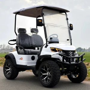 Factory Customizable Golf Carts 2 Seater Wheeled Off Road Tires Golf Club Cart for Sale