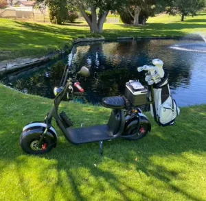 Factory Direct 2000W Citycoco Electric Scooter Streetbikes 2 Wheels Golf Trolley Golf Scooter Golf Bike