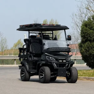 Factory Direct Custom Golf Cart with Comfort Seats Easy Driving 2/4 Seater