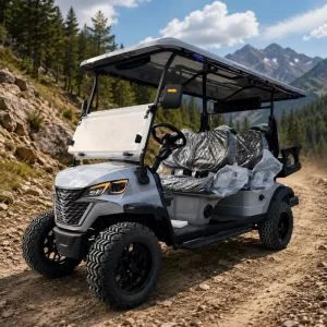 Factory Direct Electric Golf Cart Street Legal 2 Seater Golf Buggy Lithium Battery DOT CE Certified OEM ODM Available 25MPH