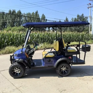 Factory Direct Luxury Custom Golf Carts Electric Models with Stylish Designs and Advanced Features