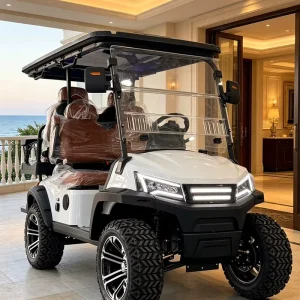 Factory Direct Matte Finish Modern 4 Seat Electric Golf Cart