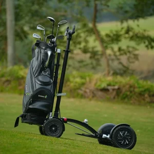 Factory Direct Price Folding Electric Scooter Cart Golf Electric Trolley 1600W Motor