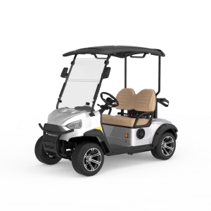 Factory Direct Supply Hotel Airport School Community Use Classic Design ES Series 2 Seater Electric Golf Cart