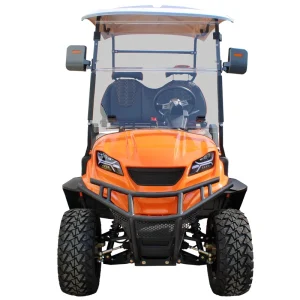 Factory Electric Golf Carts 48V 72V Lithium Battery Operated 2 Seater Electric Golf Cart Style D New Energy