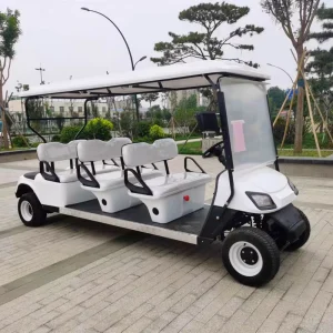 Factory Price 2 Person Electric Golf Cart for Sale Golf Electric Car