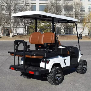 Factory Price Electric Golf Cart